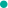 温州种出2.1米高巨型水稻